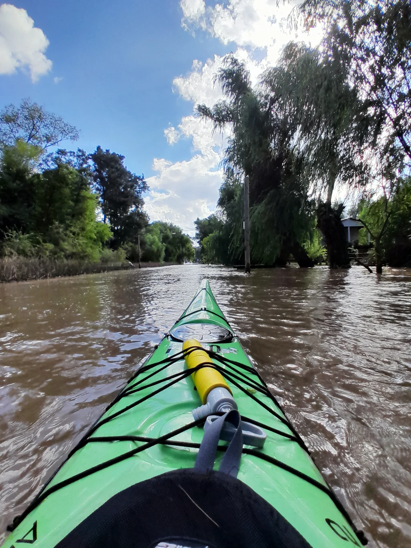Kayak